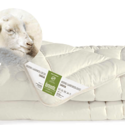 Bildschirmfoto 2025-12-15 um 10.45.44