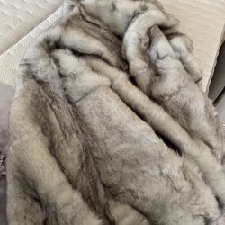 photo_2025-12-18_08-44-50