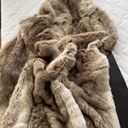 photo_2025-12-18_08-45-18