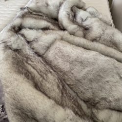 photo_2025-12-18_08-45-26