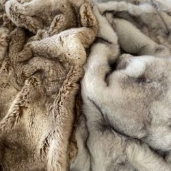 photo_2025-12-18_08-45-34