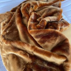 photo_2025-12-18_08-45-48