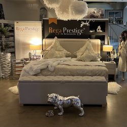 photo_2025-12-18_08-47-12